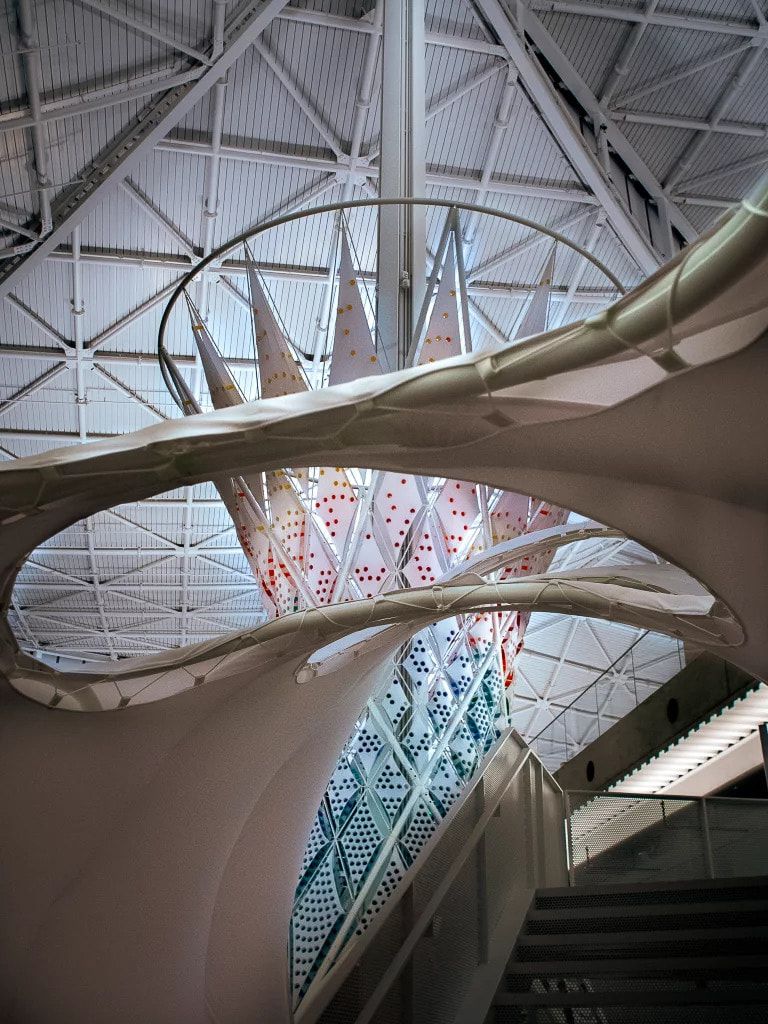 Eddy & Shroud